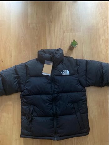 Doudoune The North Face 700 (Taille S )Neuf avec étiquette