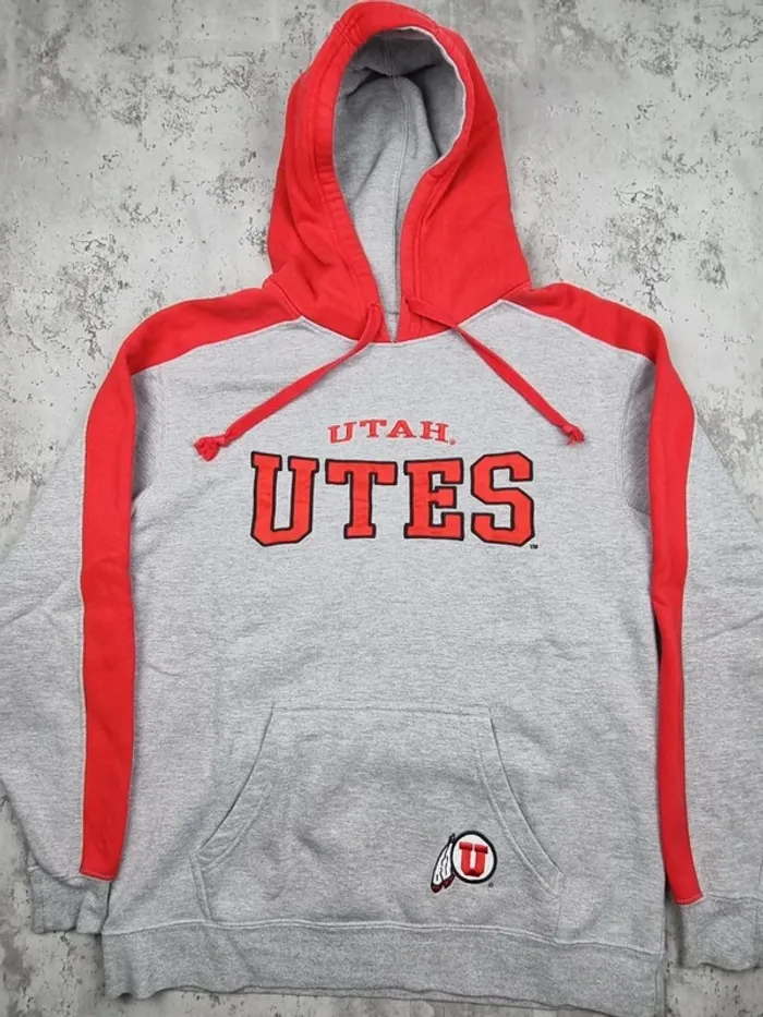Pull capuche universitaire gris/rouge, L Hommes - photo numéro 3