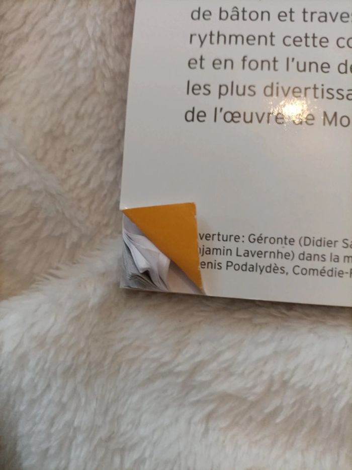 Les Fourberies de Scapin – Molière - photo numéro 3