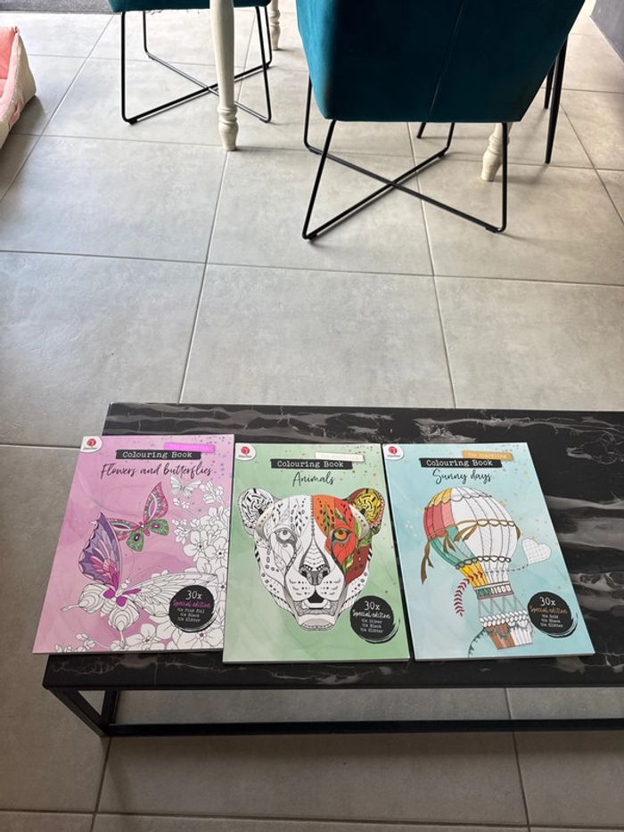 Lot cahier de coloriage