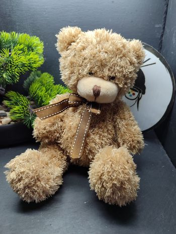peluche ours ourson renaud distribution marron beige noeud assis poils fourrure
