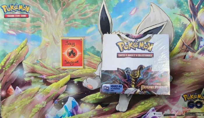 Pokémon Display Origine perdue EB