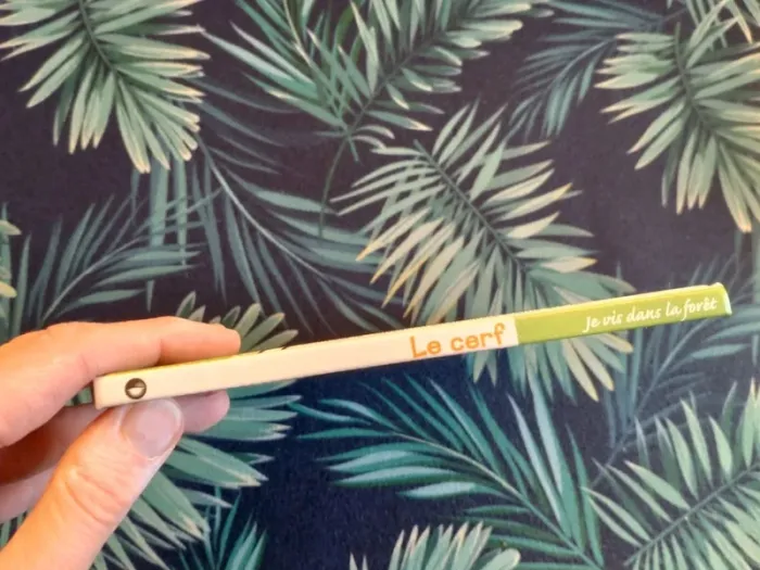 Livre enfant Le cerf, je vis dans la forêt - photo numéro 2