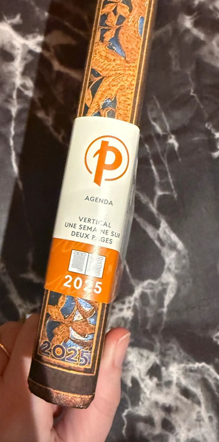 Paperblanks 2025 grand - photo numéro 2