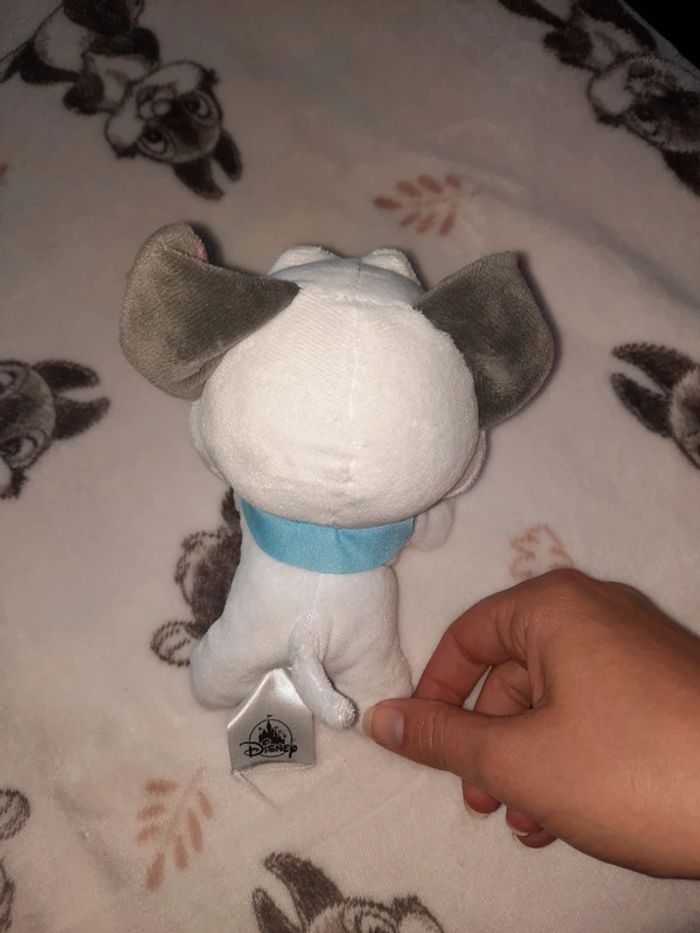 Percy - photo numéro 2