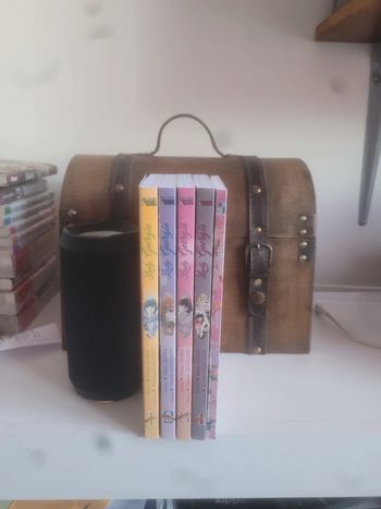 Manga Georgie édition Black Box intégrale 1 à 4 + roman