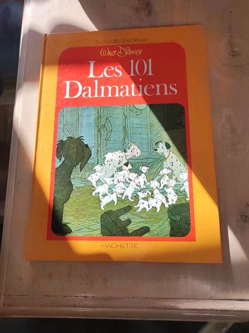 Livre Walt Disney le jardin des rêves