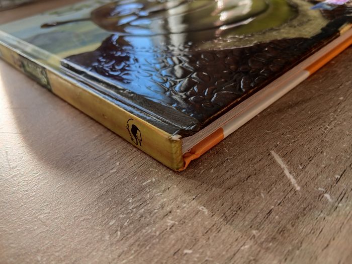 Livre shrek - photo numéro 7