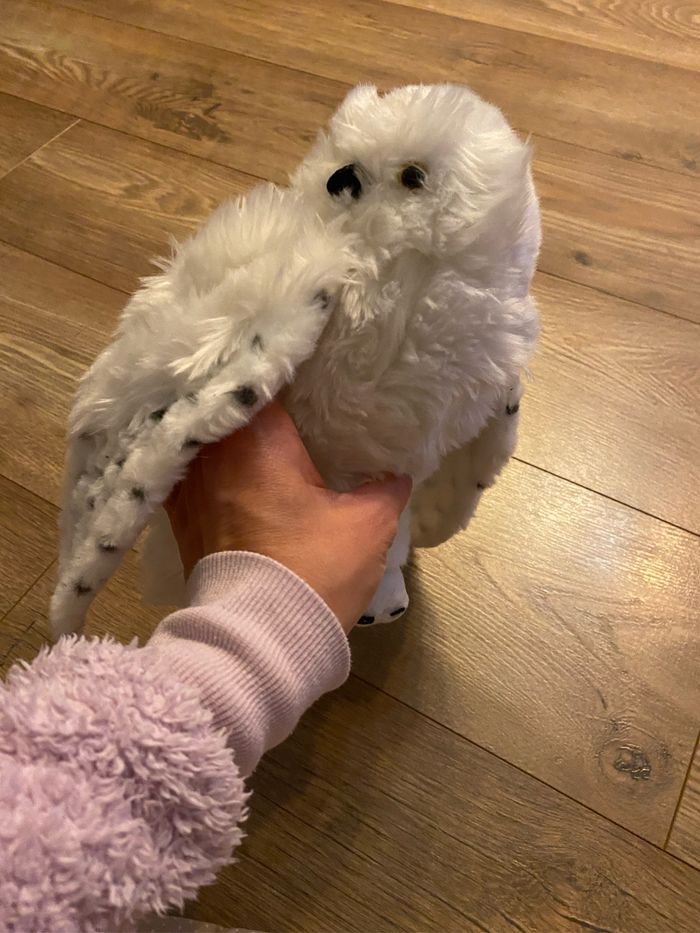 Peluche Edwige Harry Potter - photo numéro 8