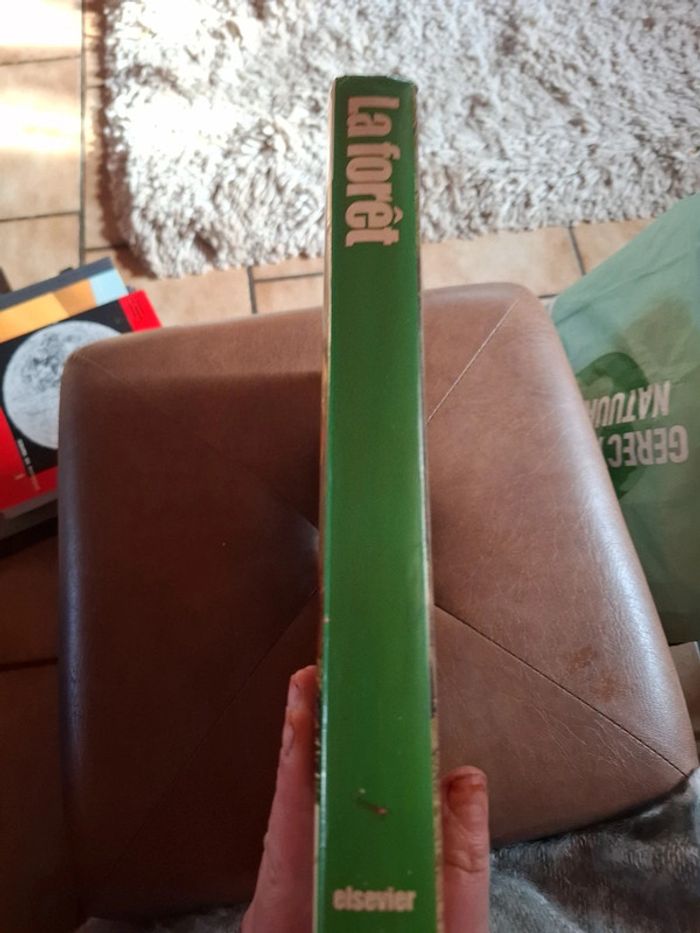 Le grand livre de la forêt. - photo numéro 2