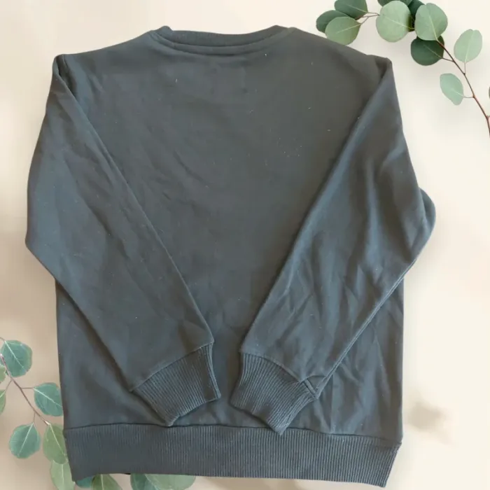 Sweat enfant T. 11-12ans neuf sans étiquette - photo numéro 2
