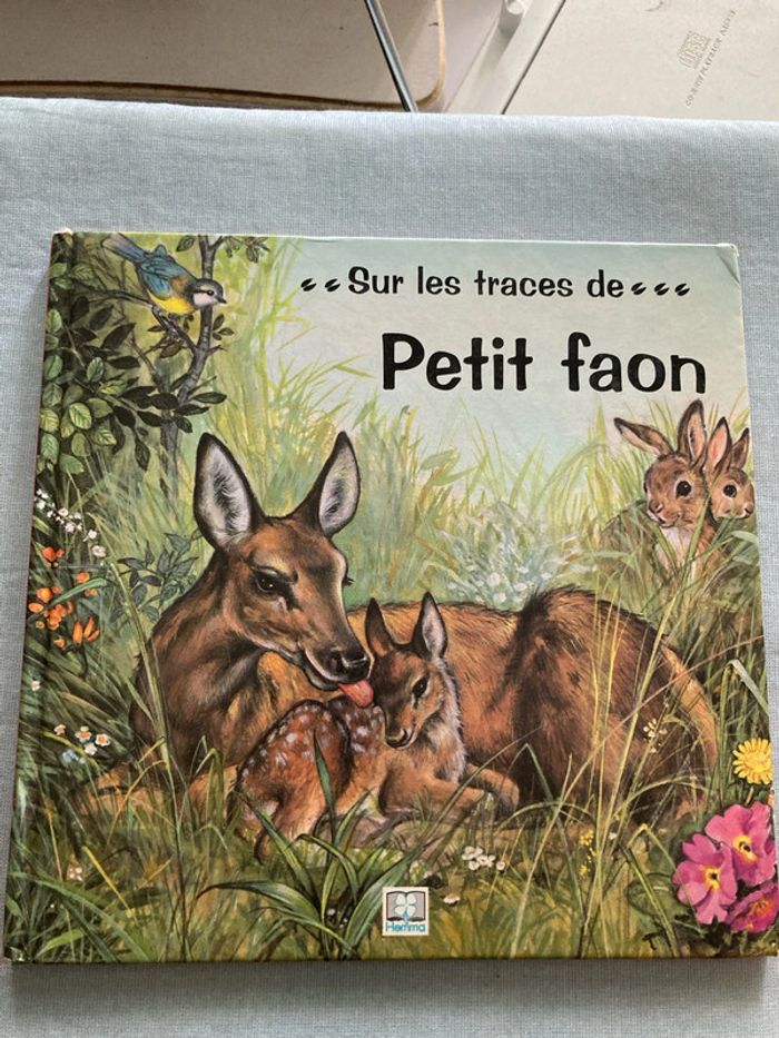 Petit faon