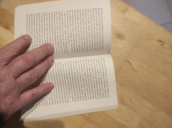 Un Blanc Mika Biermann - Anacharsis Griffe Fictions 2018 - photo numéro 4