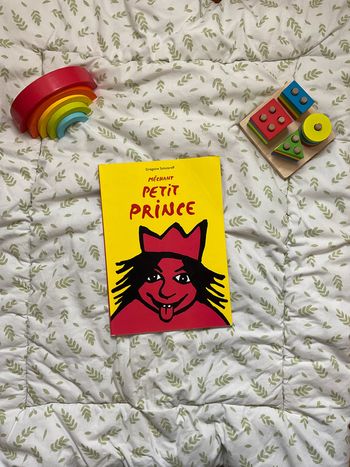 livre Méchant petit prince Grégoire solotareff