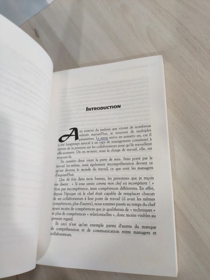 Livre grand format petit atelier du mieux être travail pour salariés tous horizons Milletre psycho - photo numéro 11