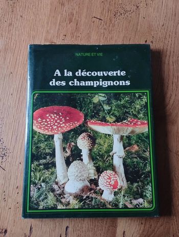 A la découverte des champignons