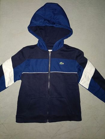 Gilet veste lacoste
