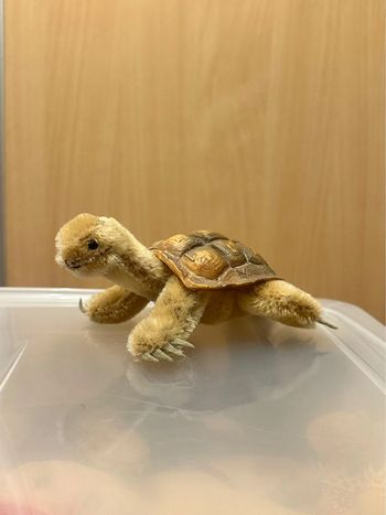 Tortue Steiff