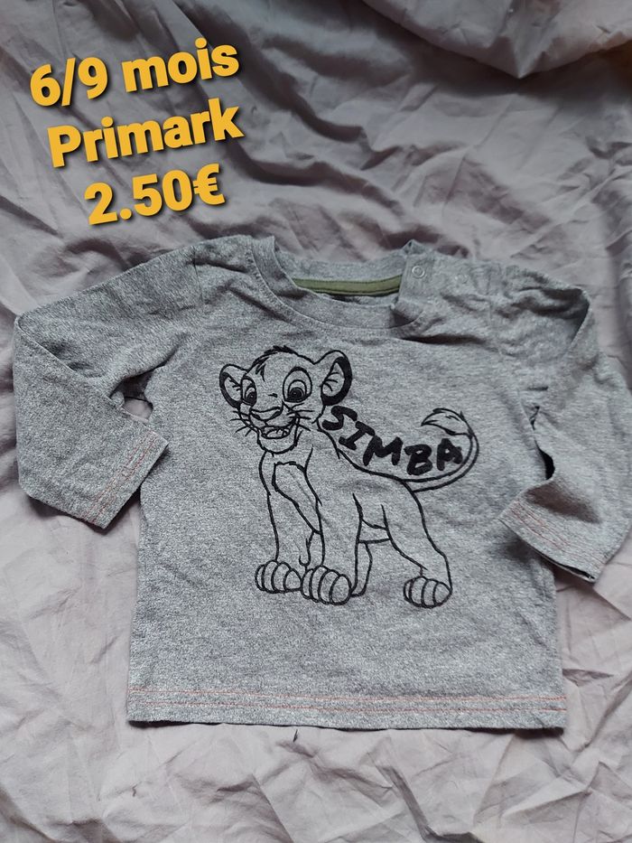 Haut roi lion simba