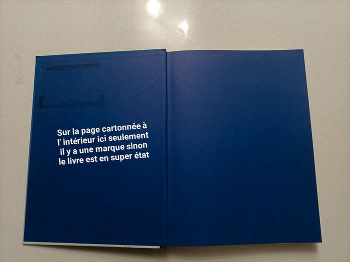 Livre l Europe des sorciers secrètes - photo numéro 9