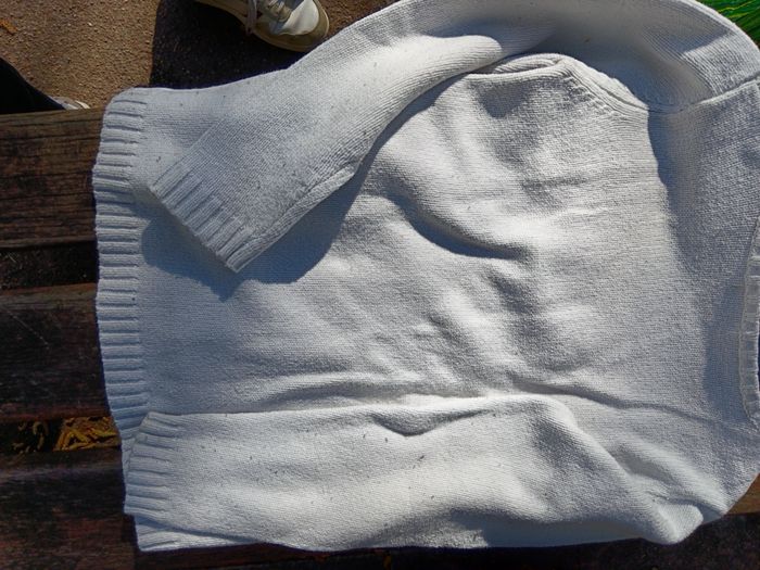 Pul ls - photo numéro 2