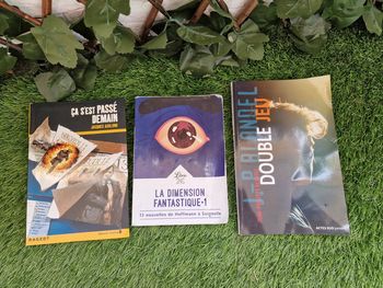 Lot de 3 livres genre fantastique