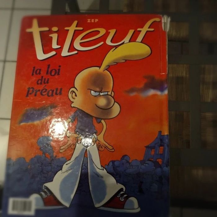 Album double Titeuf - photo numéro 2