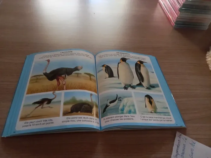 Livre L'imagerie des animaux - photo numéro 3
