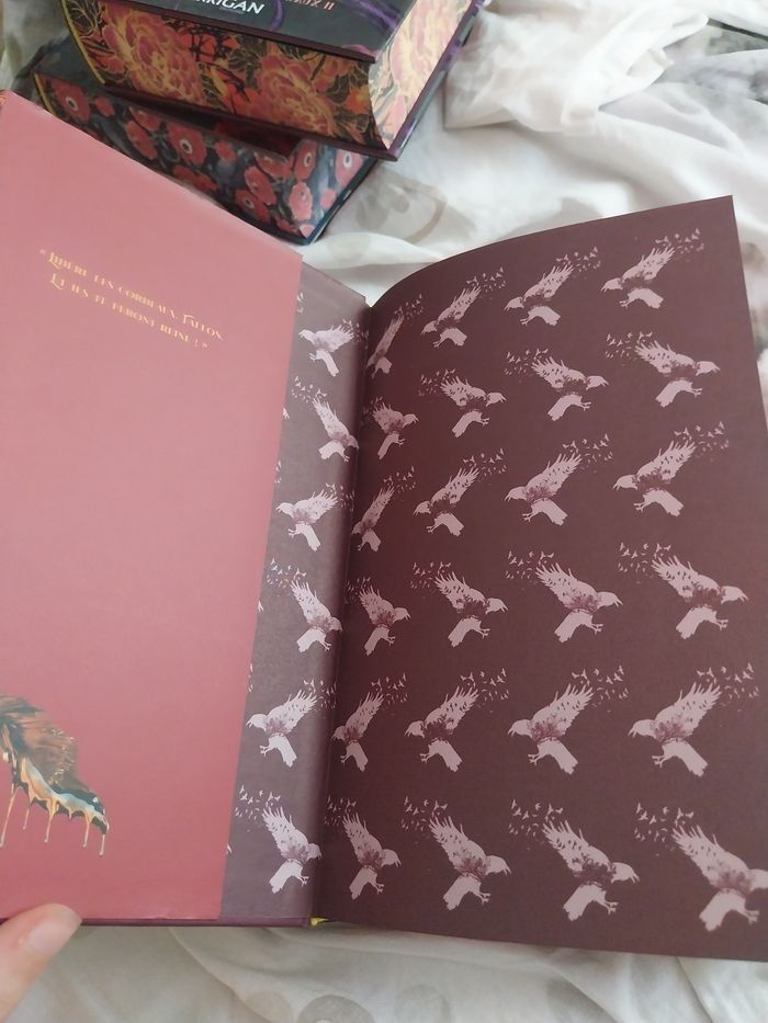 Romans Le Royaume des Corbeaux tomes 1 à 3 Reliés Collectors Olivia Wildenstein Korrigan - photo numéro 4