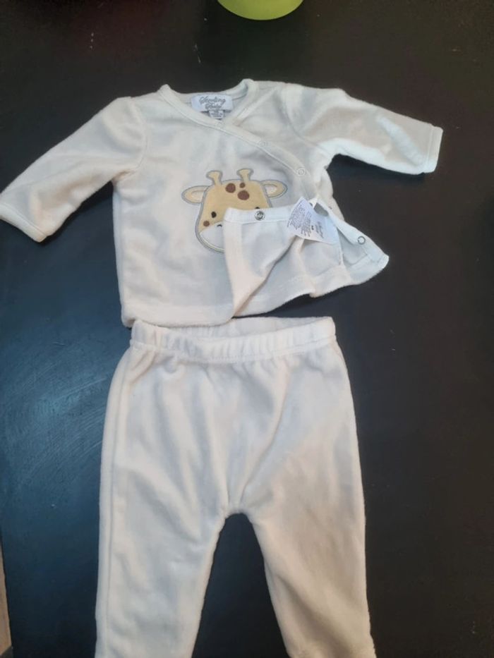 Ensemble naissance - photo numéro 3