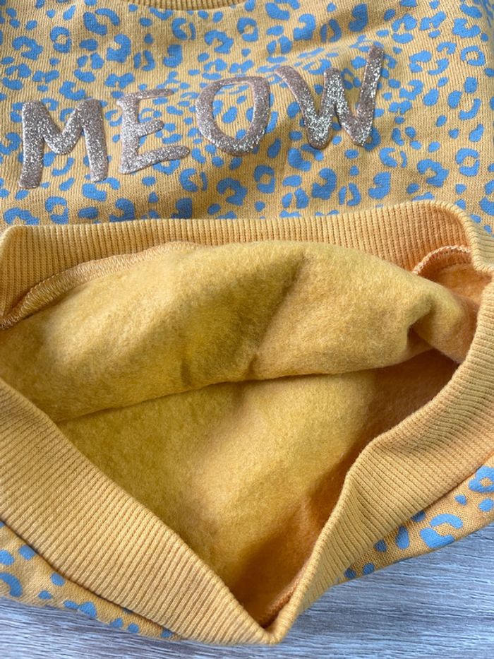 Sweat chaud - photo numéro 3