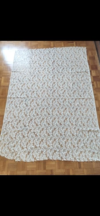 Coupon tissu dentelle 