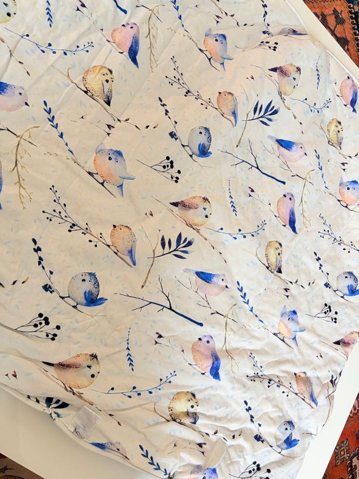 Nid d’ange bleu - photo numéro 5