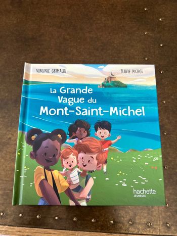 Livre la grande vague du mont saint Michel