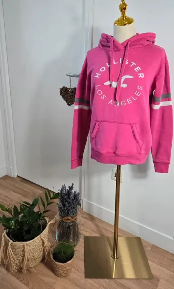 Sweat/pull à capuche Hollister rose taille S/36