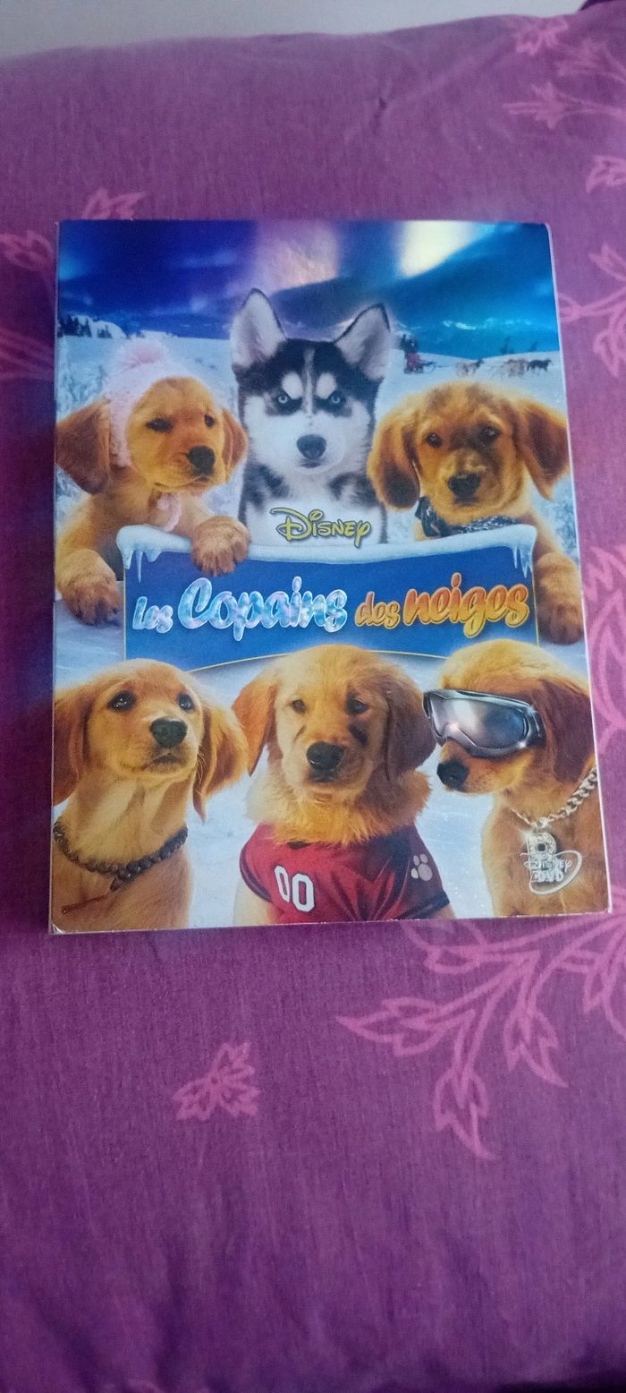 Dvd les copains des neiges