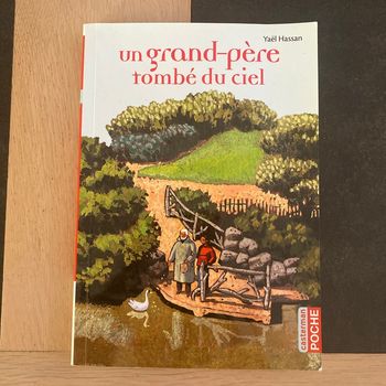 Un grand-père tombé du ciel