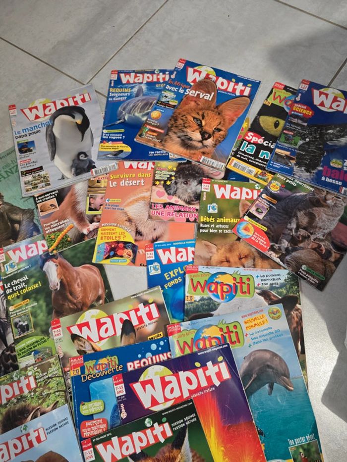 Lot 23 revue #orianabllivre - photo numéro 3