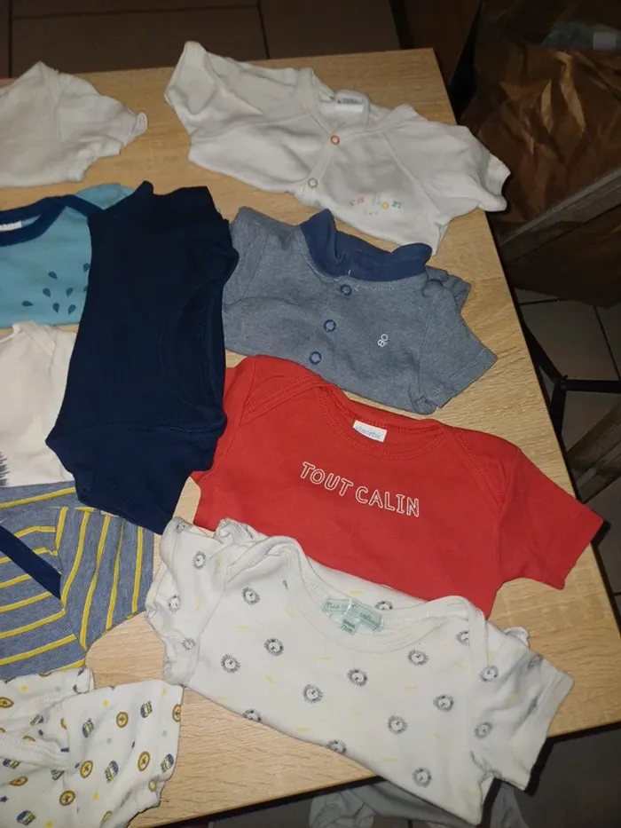 Lot de 15 bodies manche courtes - photo numéro 4