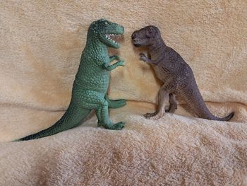 Lot de 2 tyrannosaures