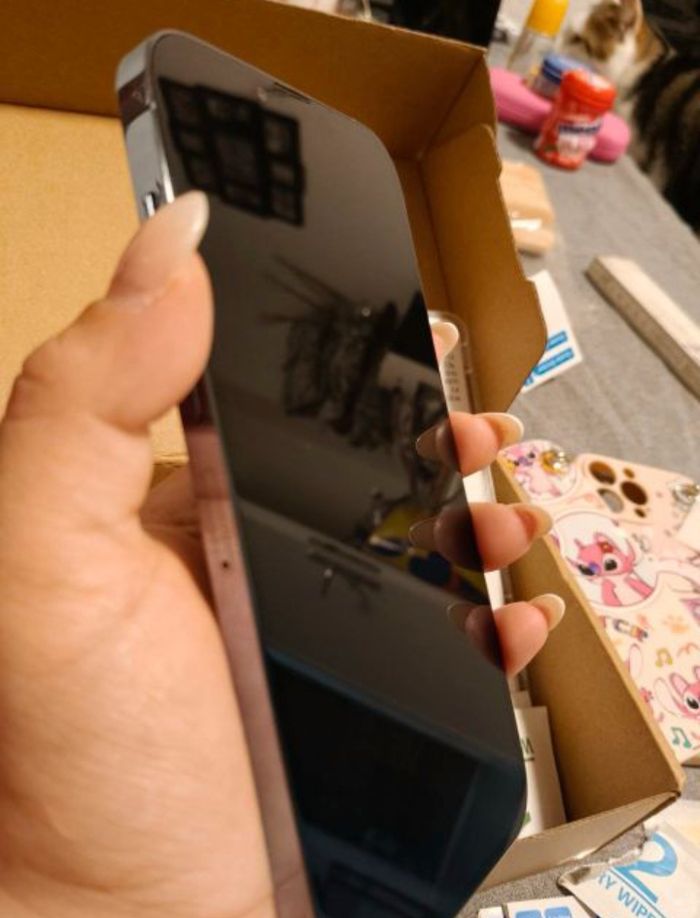 Iphone treize pro max - photo numéro 5