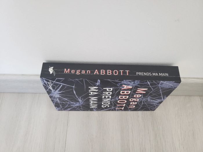Prends ma main Megan Abbott - photo numéro 3