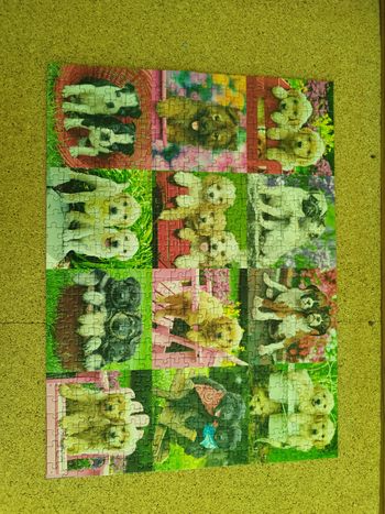 Puzzle chien