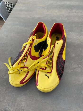 Crampon puma