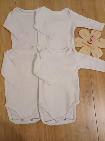 Lot body