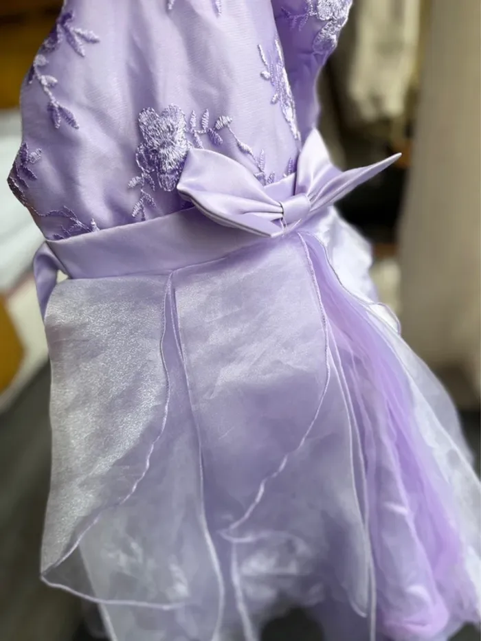 Robe de princesse - photo numéro 3