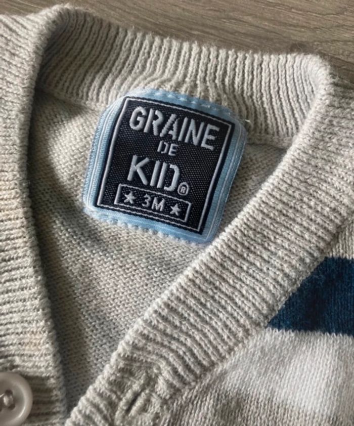 Pull col V graine de kid 3 mois - photo numéro 3