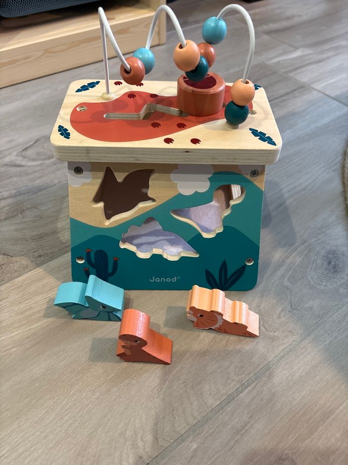 Volcan multi activités Dino Janod - photo numéro 2