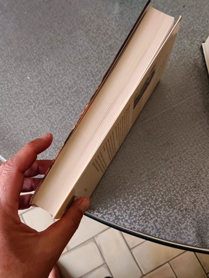 Livre Violaine Vanoyeke Hatchepsout la Pharaonne - photo numéro 4