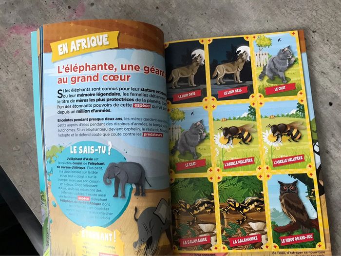 Cahier d’activité livre les super pouvoirs des animaux - photo numéro 2